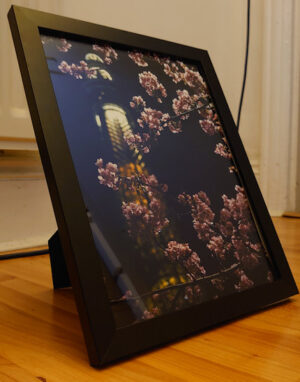 print-limited-edition-36-a4-wood-framed-print-glass