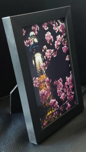 Framed-Print-product-photo