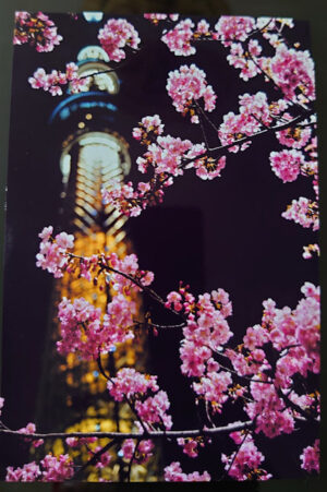 Skytree-tokyo-high-quality-print-epson