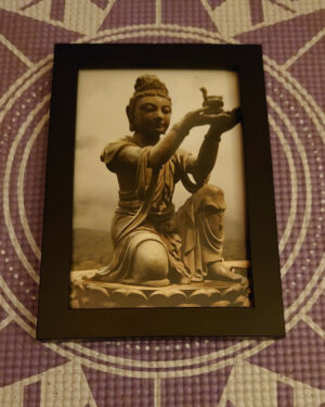 product-image-shop-sale