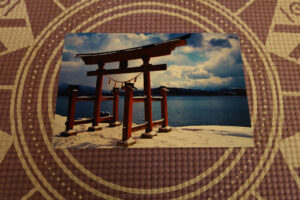 product-image-shop-sale