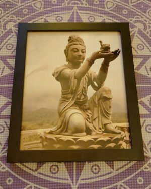 Shop-product-image-8x10