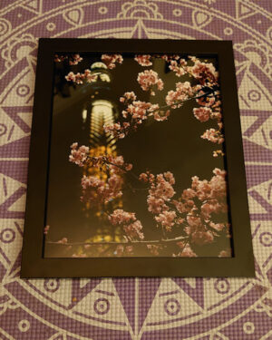 product-image-shop-sale