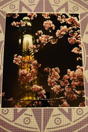 product-image-shop-sale